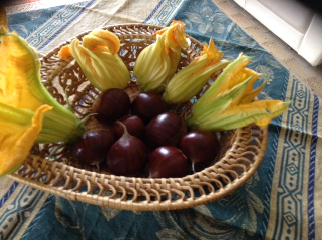 castagne valcuvia